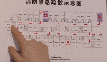 动图